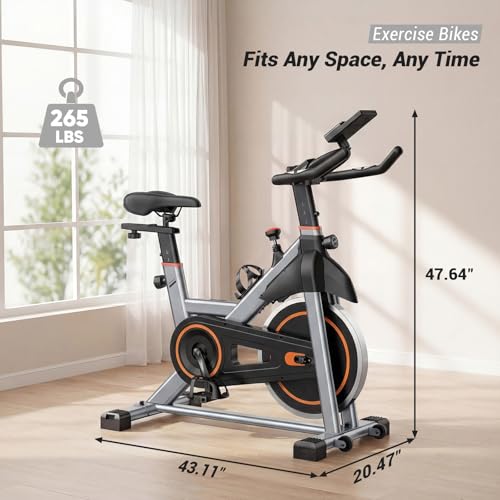 OLIXIS workout bike 300 lb capacity