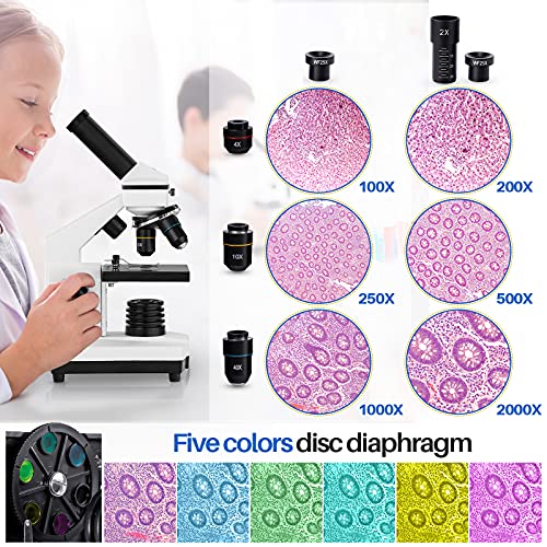 Microscope with coarse and fine focus knobs