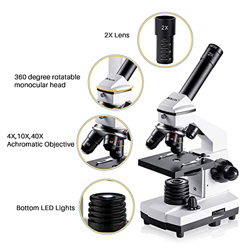 BEBANG microscope dual LED illumination system