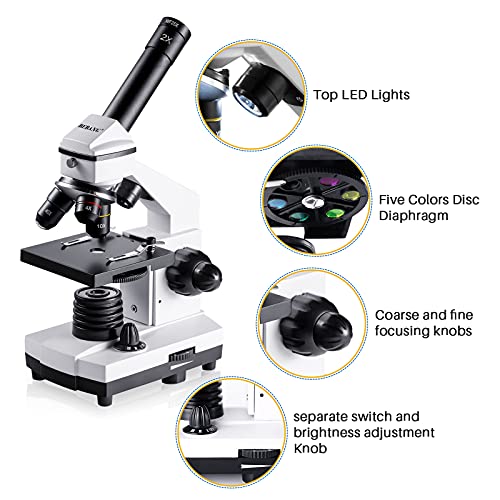 Compound microscope with phone adapter