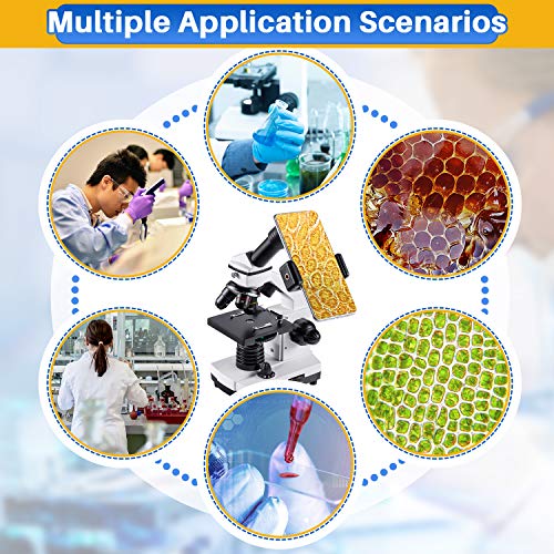 Magnification settings 100X to 2000X