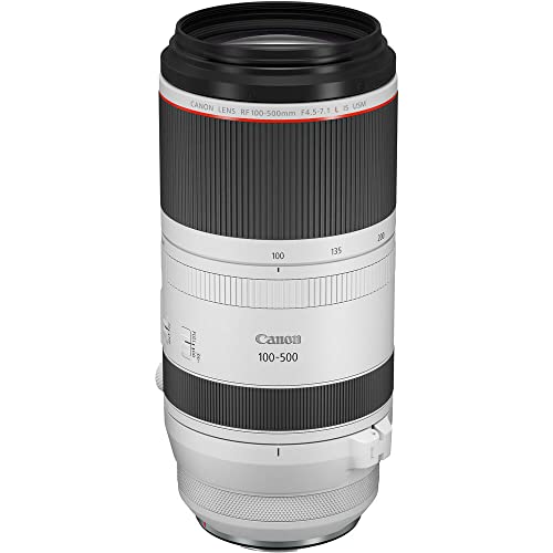 Canon RF 100-500mm lens mounted on mirrorless camera