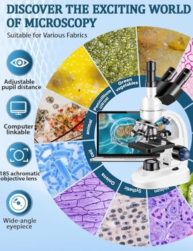 Microscope with illumination system