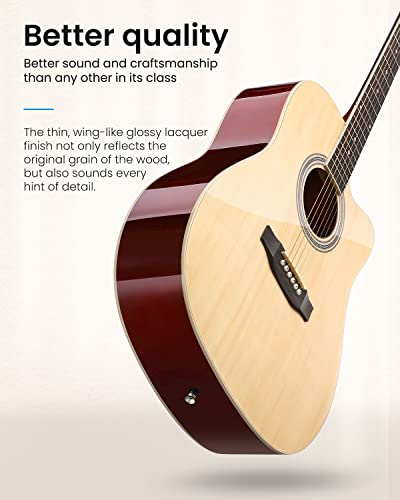 Close up of Moukey acoustic guitar fretboard