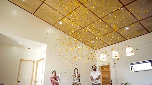 JAPJA Streamer Confetti Cannons biodegradable paper detail