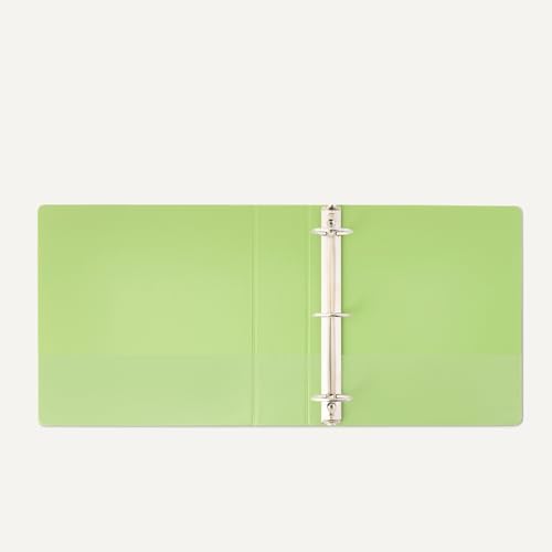 Four binders in assorted colors
