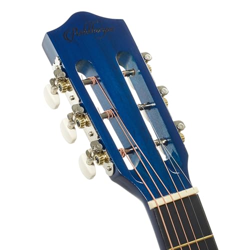 Ashthorpe starter kit guitar picks and strap