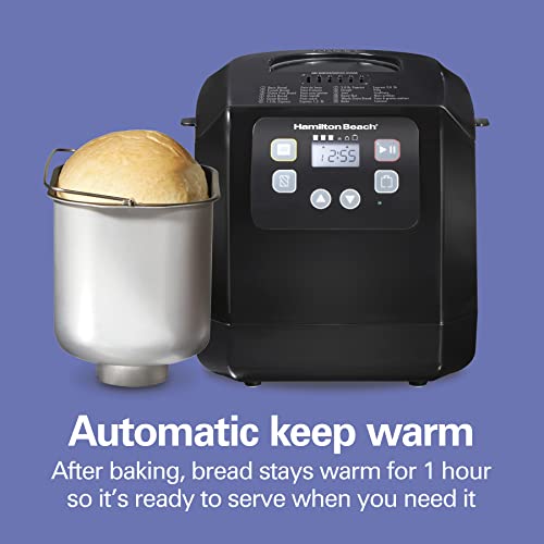 Rear view of the Hamilton Beach kitchen appliance