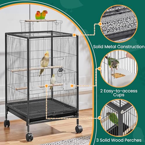 Interior space for small birds