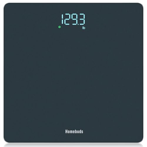 HOMEBUDS HB905 Pacific Blue scale top view