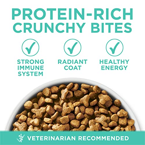 Back of Purina ONE Sensitive Stomach packaging
