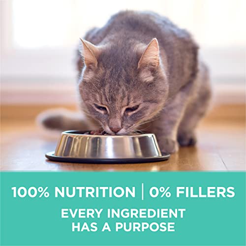 Purina ONE branding on 7 lb bag