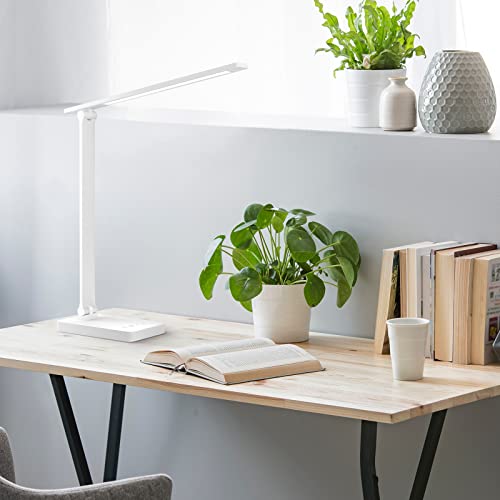 Lepro LED Desk Lamp power adapter and accessories