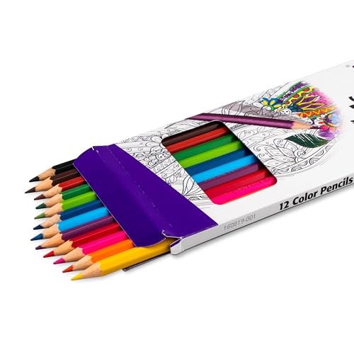 Close up of Pentel Arts colored pencil tips