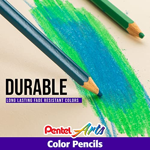 Pentel Arts pencils displayed in a row