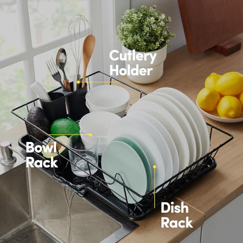 Drip tray with drainage spout for dish rack