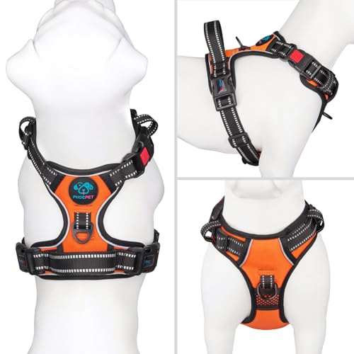 PHOEPET harness front view with leash attachment