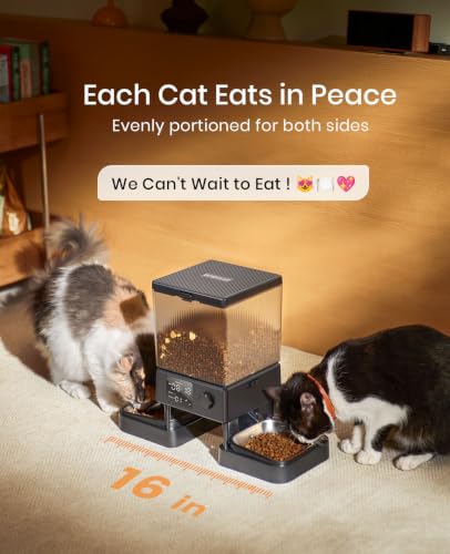 Top view of oneisall PFD-002 cat food dispenser