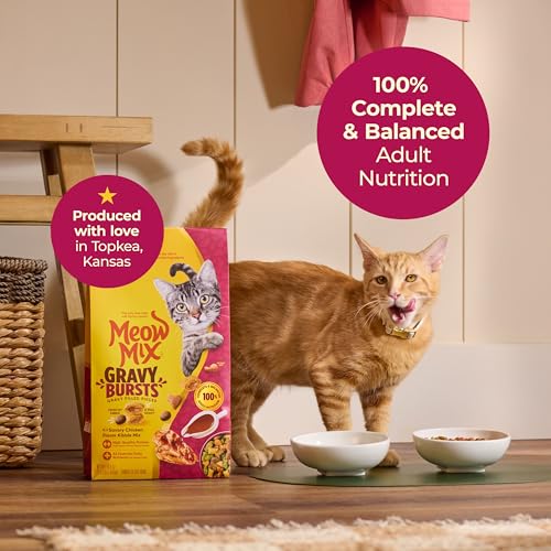 Meow Mix Savory Chicken kibble texture