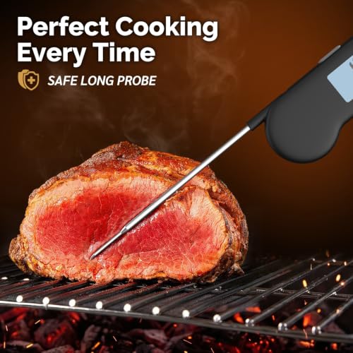 Stainless steel probe of the ThermoMonster HT10