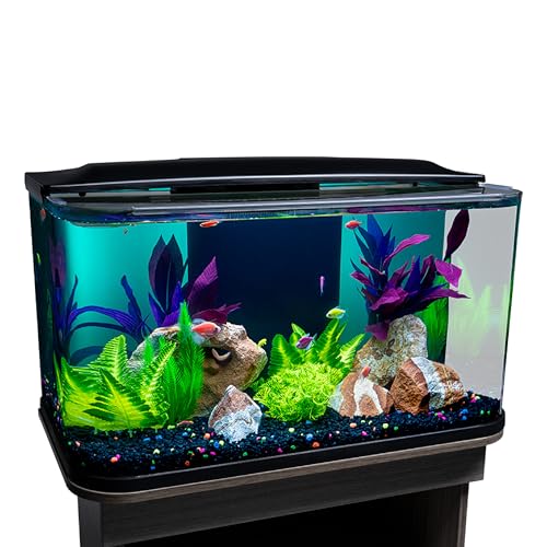 GloFish 20 Gallon Curved Glass Aquarium Kit