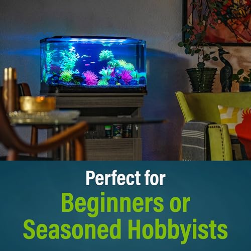 GloFish aquarium setup for aquatic pets