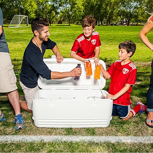 Igloo Polar 120 Qt. Cooler top angle