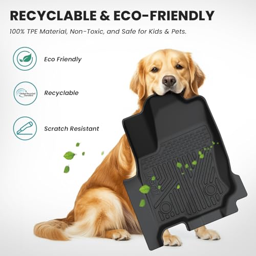 Cargo area floor mat