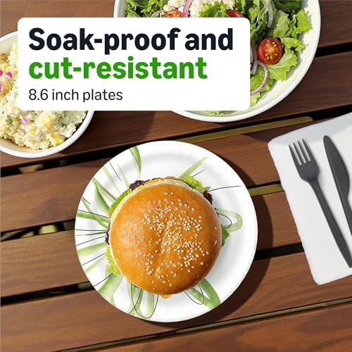 Basics disposable plates in household setting