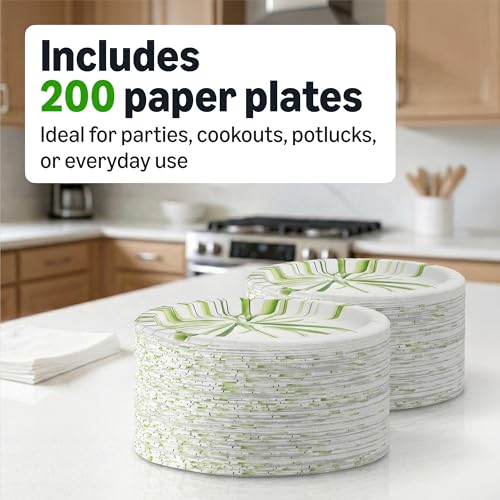 Basics paper plates for outdoor dining