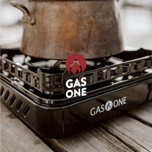 Gas One dual fuel stove with propane adapter