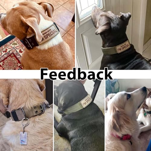 Periflowin 26L-PK collar size L display