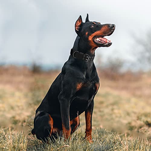 Periflowin tactical gear for large dogs
