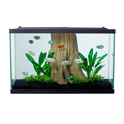 Tetra 29 Gallon tank rectangular glass