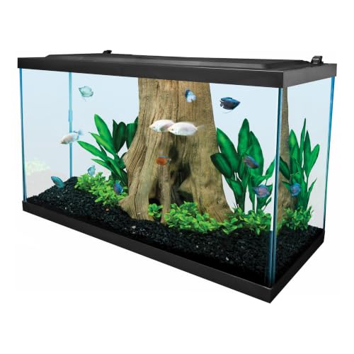 Tetra aquarium side profile