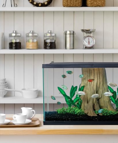 Tetra 29 gallon tank dimensions display