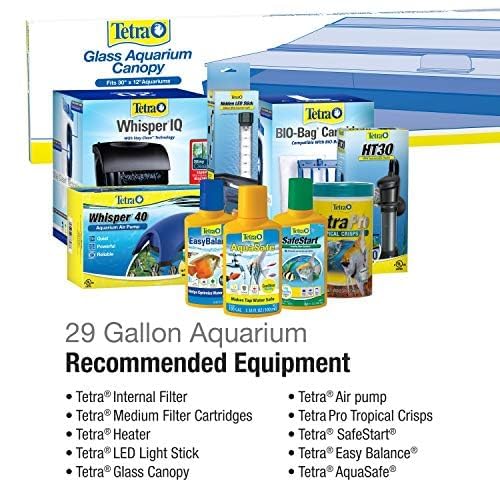 Tetra fish tank setup example