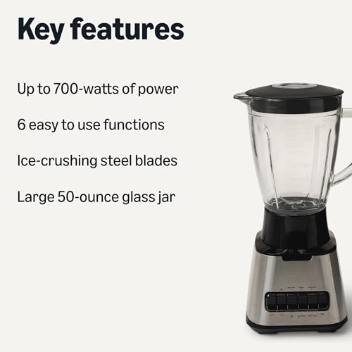6-cup glass jar for Basics blender