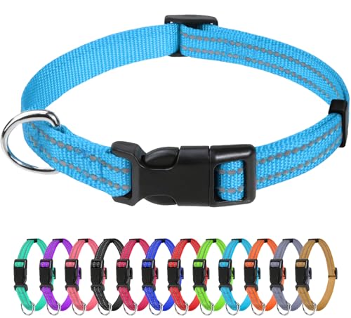 TagME Small Dog Collar Sky Blue front view