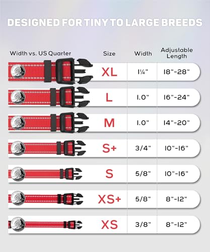 TagME Small Dog Collar reflective trim detail