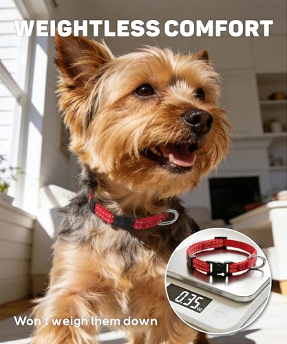 TagME Small Dog Collar quick-release buckle