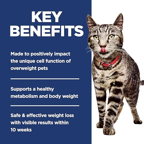 Hill's Science Diet Perfect Weight kibble texture detail