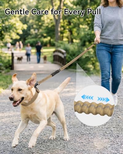 Shock absorbing bungee section of Joytale leash
