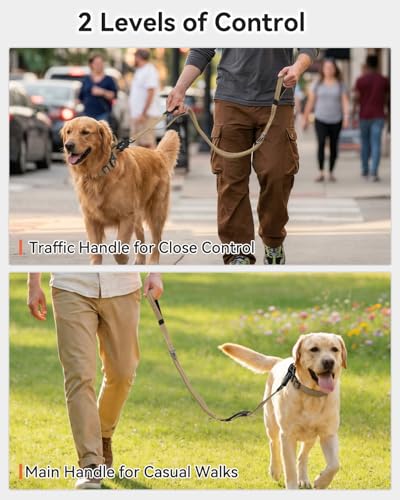 Joytale dog leash dual padded handles