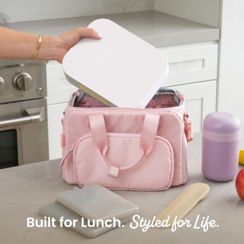 Bentgo Modern lunch box top profile