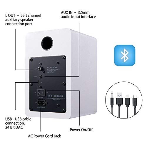 Back panel connections of Sanyun SW208 active speakers