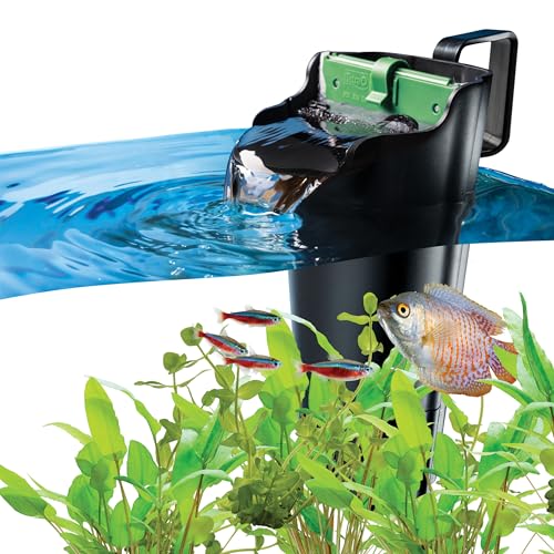Black Tetra Whisper filter for small tanks