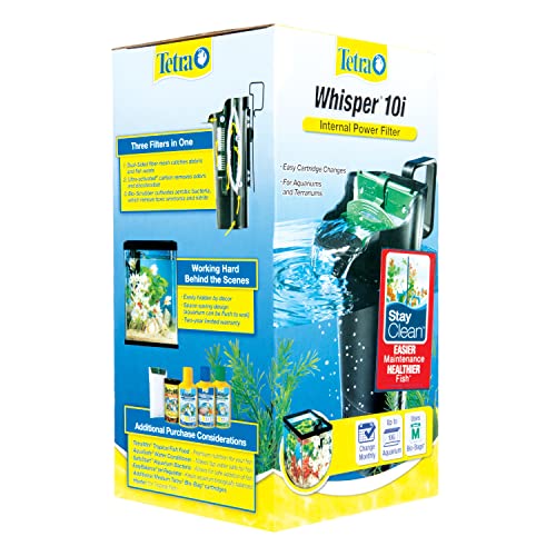 Filter submerged in 5 gallon aquarium