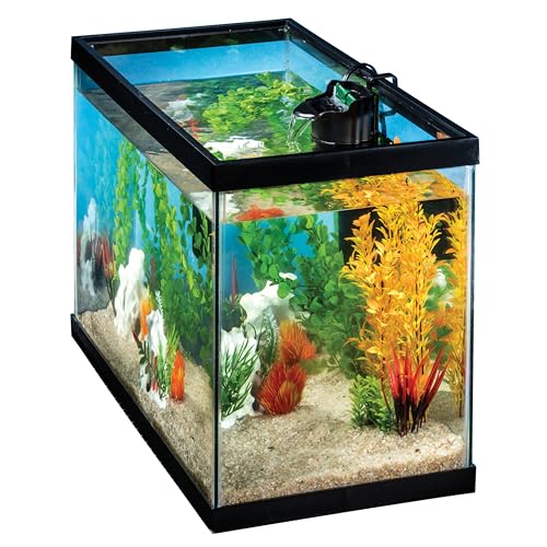 Filter setup in 10 gallon aquarium