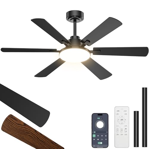 Eterfun 52 inch ceiling fan with LED light